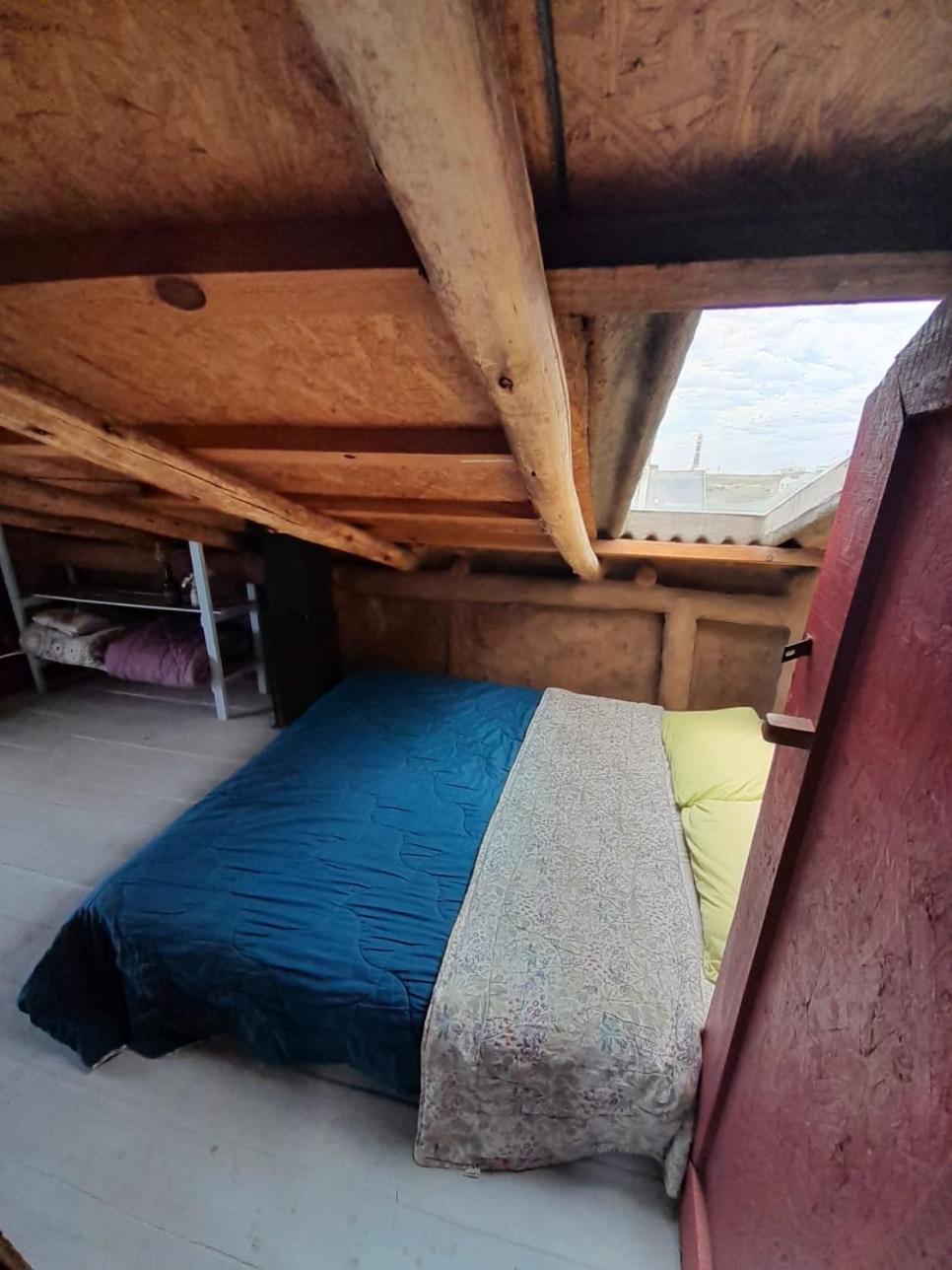 קאבו פולוניו Lobo Hostel Bar מראה חיצוני תמונה