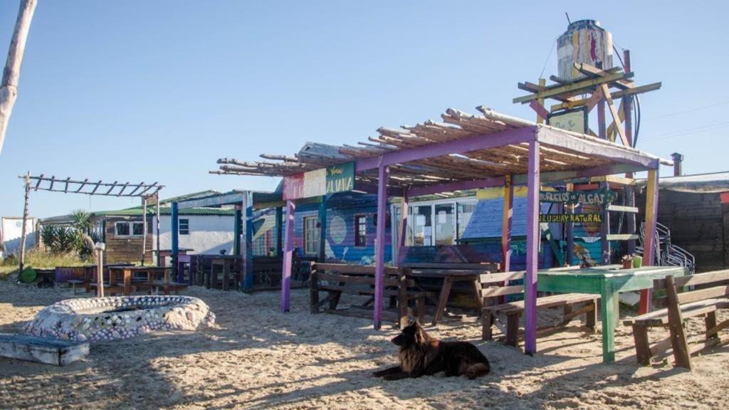 קאבו פולוניו Lobo Hostel Bar מראה חיצוני תמונה